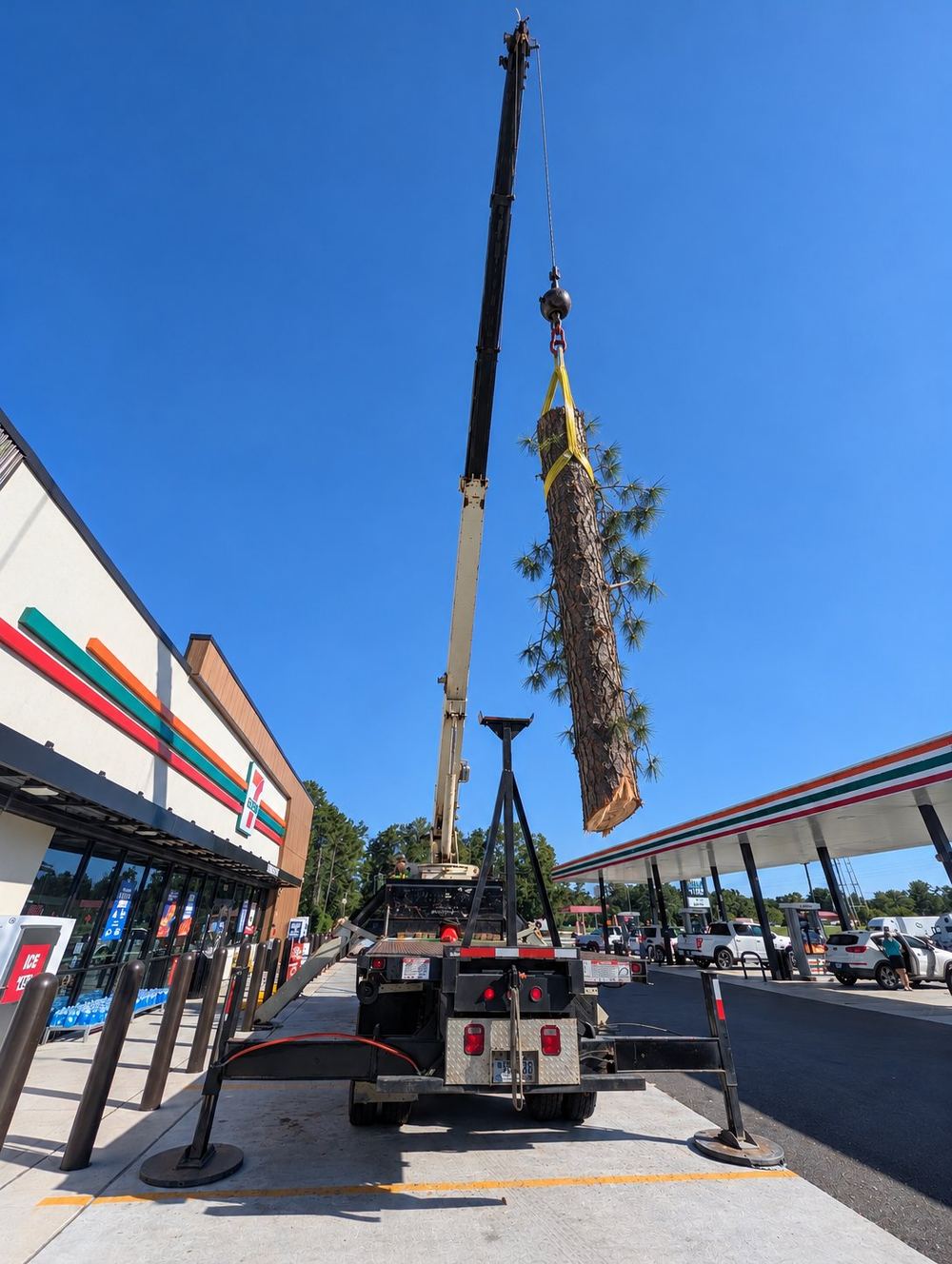 Crane lifting a pine trunk during a tree removal job